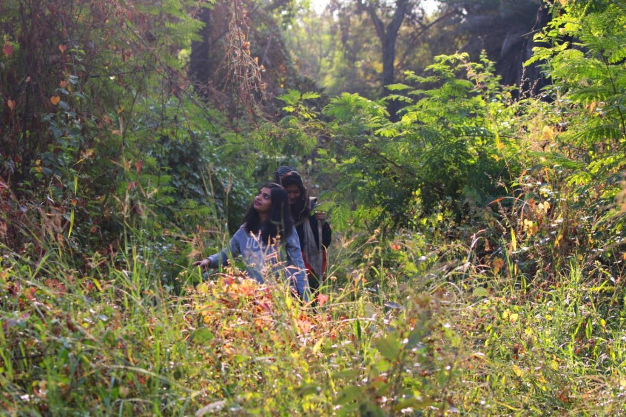 Dera Baghdarrah Nature Retreat Udaipur Exterior foto