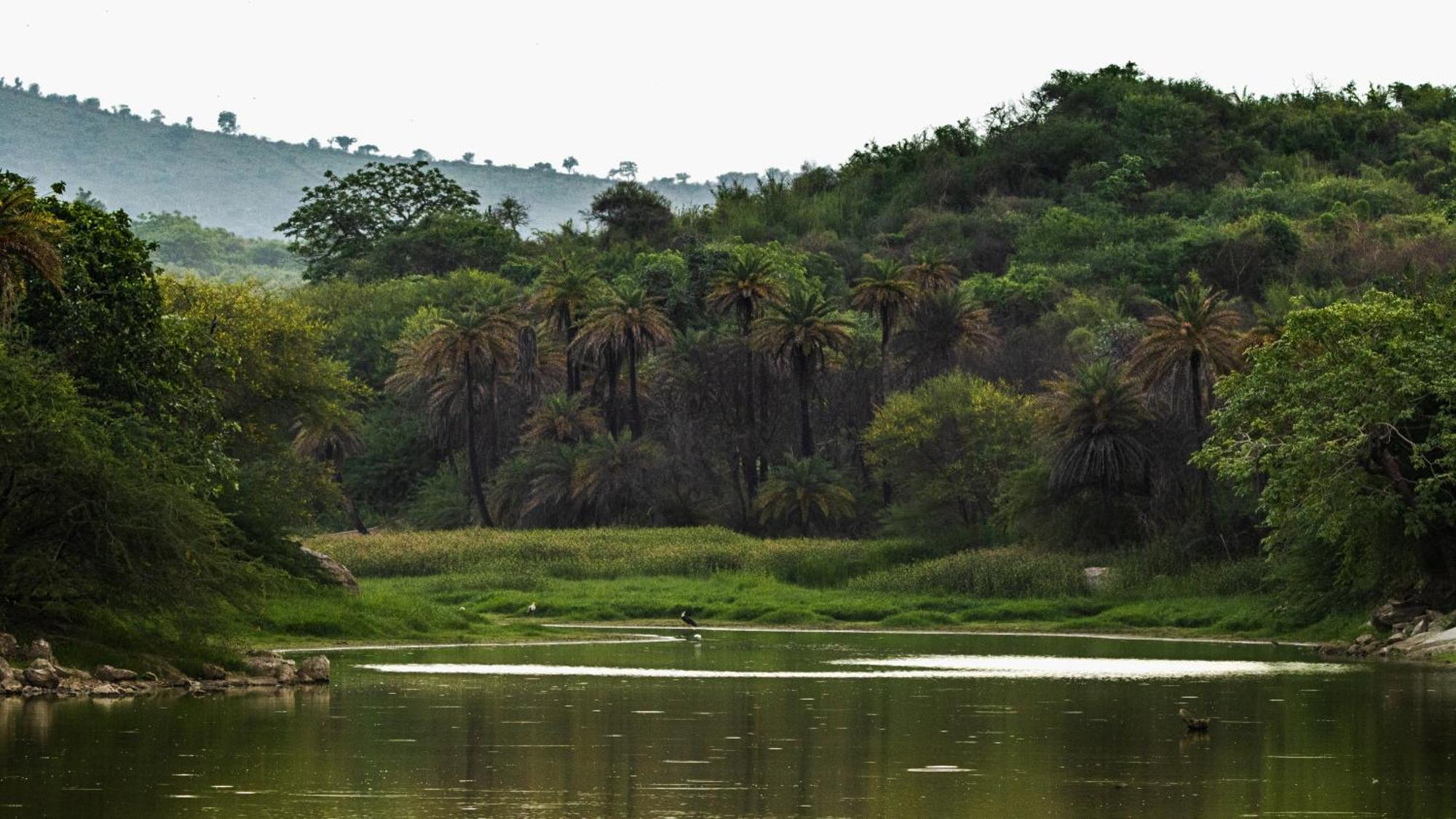 Dera Baghdarrah Nature Retreat Udaipur Exterior foto